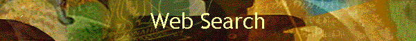 Web Search