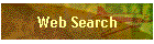 Web Search